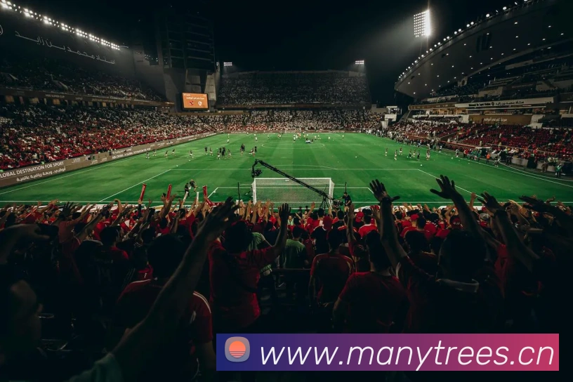 开云kaiyun服务体系